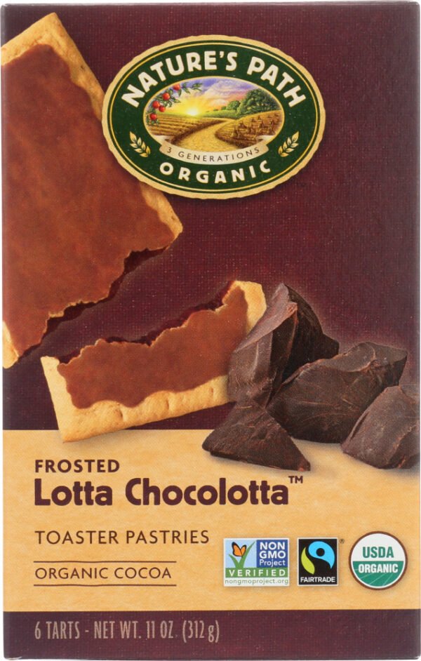 Organic Frosted Lotta Chocolotta Toaster Pastries