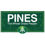 PINES WHEAT GRASS