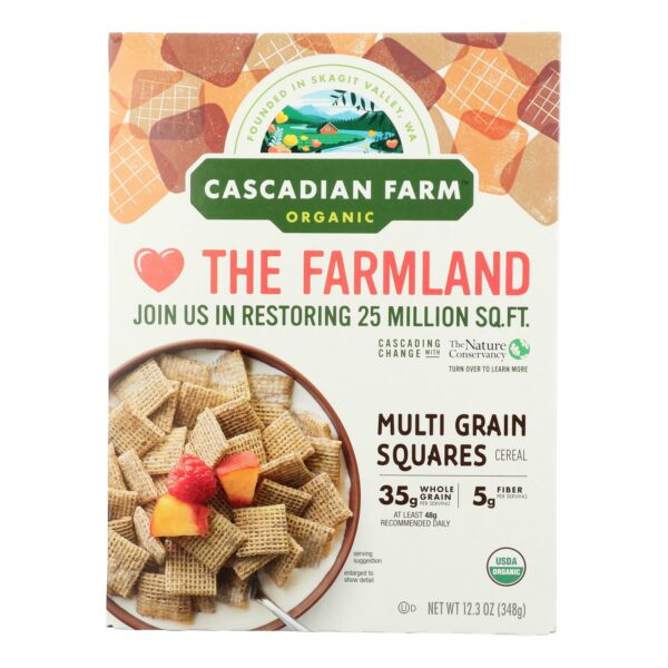 Multi Grain Squares Cereal