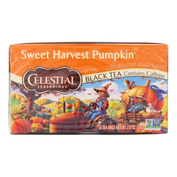 Sweet Harvest Pumpkin