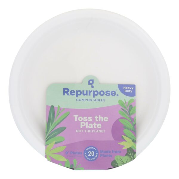 Compostable 9 Inch Plates