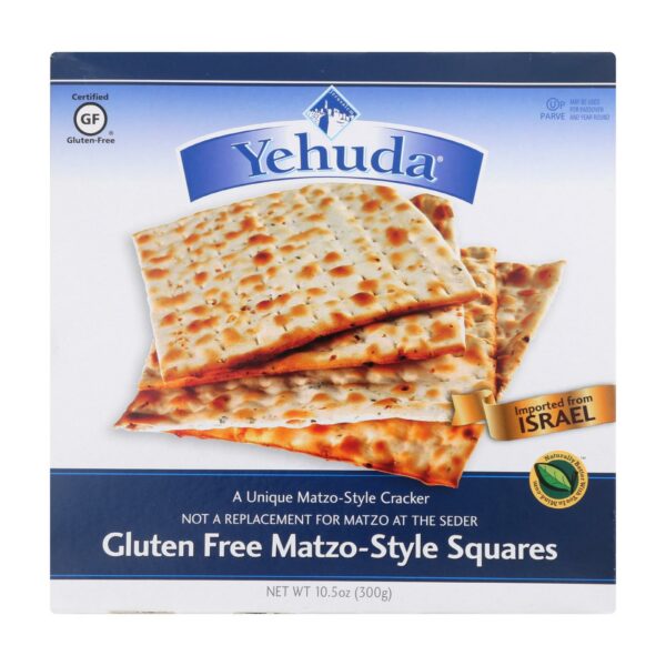 Gluten Free Matzo-Style Squares