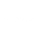 HEALTHY ORIGINS